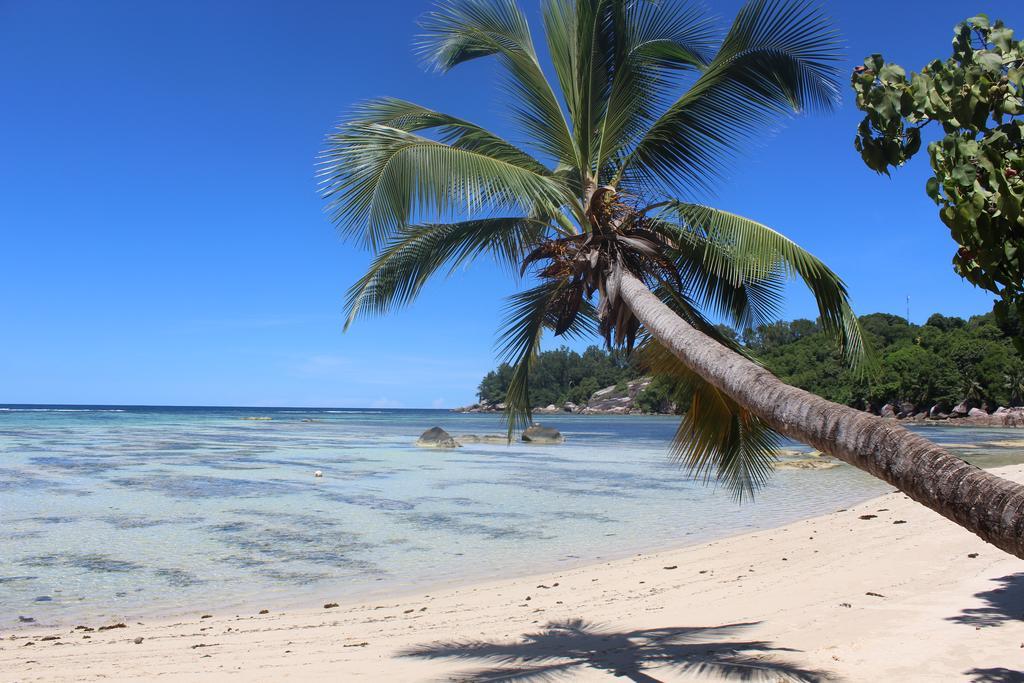 Villa Kordia Pointe Au Sel ภายนอก รูปภาพ
